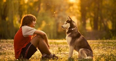 Che cosa è la telepatia con animali Che cosa è la telepatia con animali