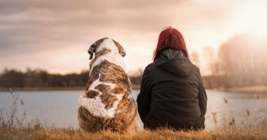 Pet therapy: un rimedio per grandi e piccini Pet therapy: un rimedio per grandi e piccini
